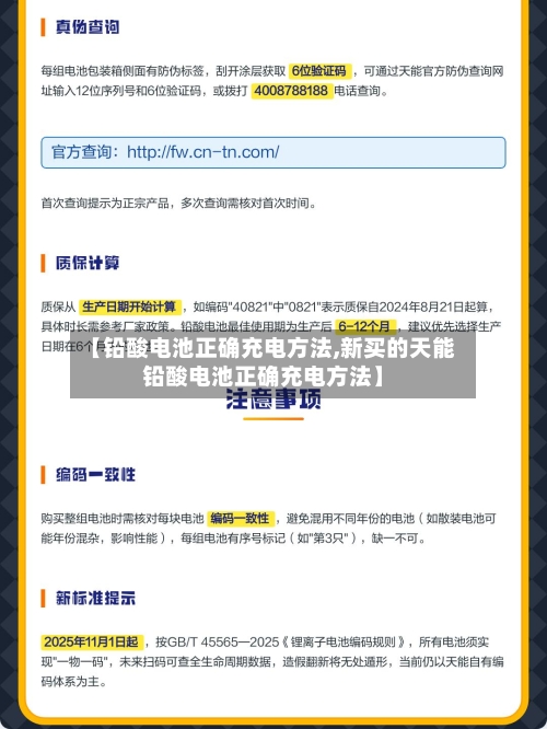 【铅酸电池正确充电方法,新买的天能铅酸电池正确充电方法】-第1张图片