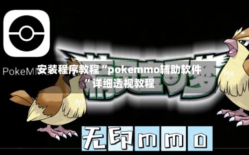 安装程序教程“pokemmo辅助软件”详细透视教程-第1张图片