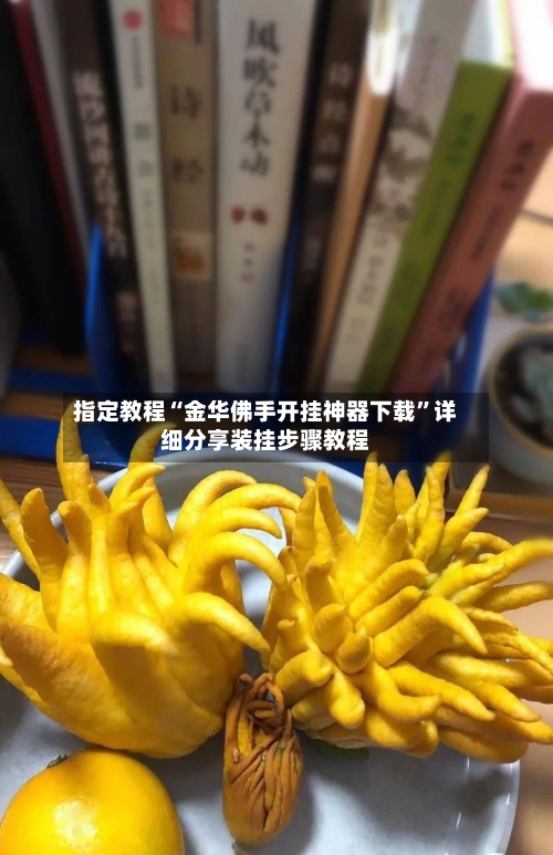 指定教程“金华佛手开挂神器下载”详细分享装挂步骤教程-第1张图片