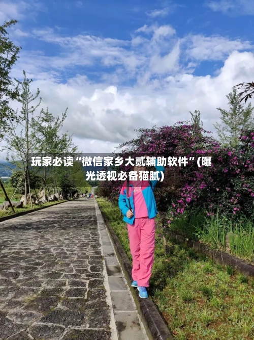 玩家必读“微信家乡大贰辅助软件	”(曝光透视必备猫腻)-第1张图片