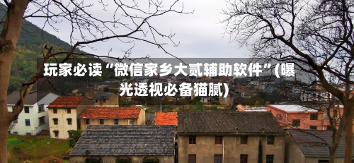 玩家必读“微信家乡大贰辅助软件”(曝光透视必备猫腻)-第2张图片