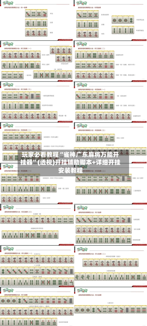 玩家必看教程“雀神广东麻将万能开挂器”(透视)开挂辅助脚本+详细开挂安装教程-第3张图片