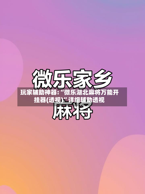 玩家辅助神器:“微乐湖北麻将万能开挂器(透视)”详细辅助透视-第1张图片