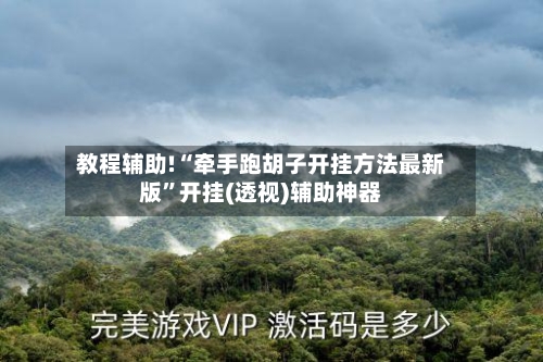 教程辅助!“牵手跑胡子开挂方法最新版”开挂(透视)辅助神器-第1张图片