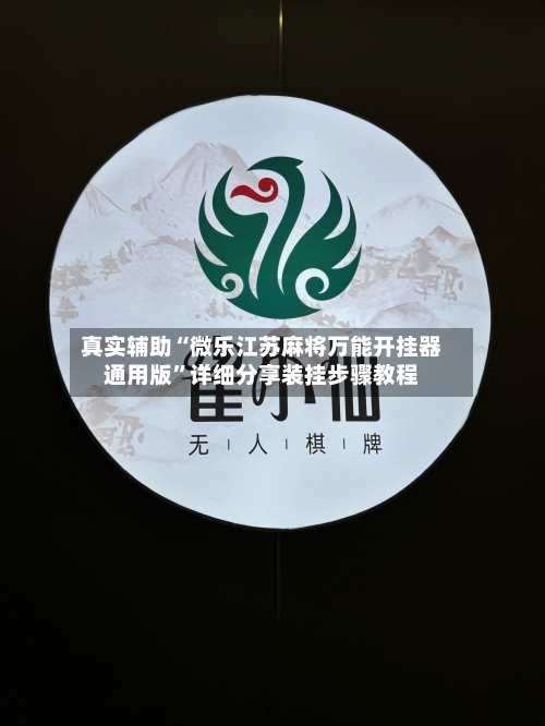 真实辅助“微乐江苏麻将万能开挂器通用版”详细分享装挂步骤教程-第2张图片