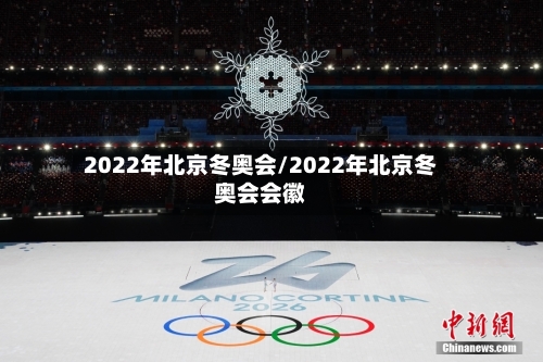2022年北京冬奥会/2022年北京冬奥会会徽-第2张图片