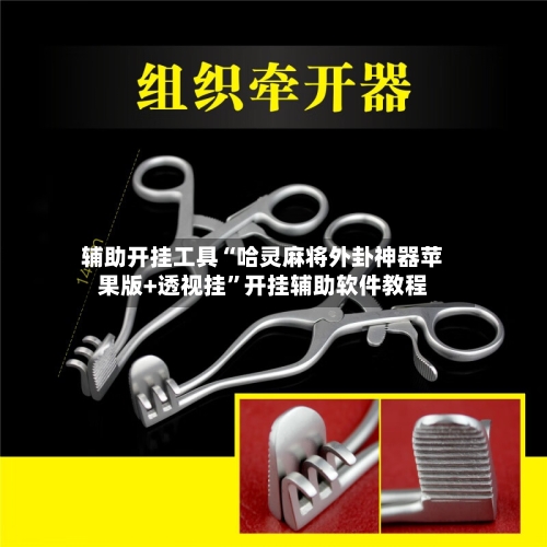 辅助开挂工具“哈灵麻将外卦神器苹果版+透视挂	”开挂辅助软件教程-第1张图片