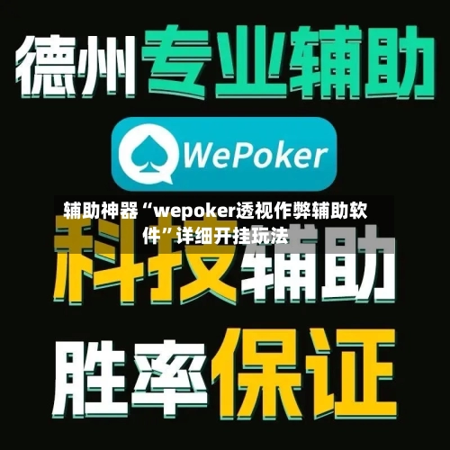辅助神器“wepoker透视作弊辅助软件	”详细开挂玩法-第3张图片