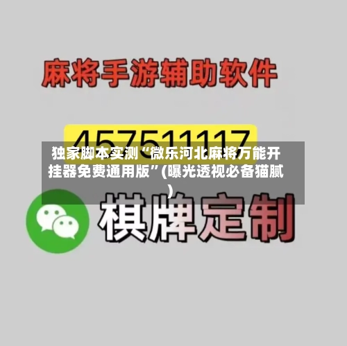 独家脚本实测“微乐河北麻将万能开挂器免费通用版”(曝光透视必备猫腻)-第3张图片