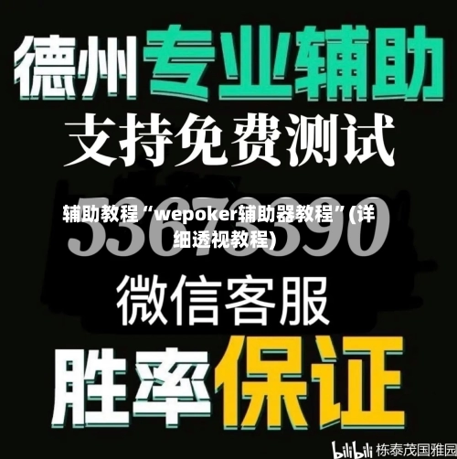 辅助教程“wepoker辅助器教程”(详细透视教程)-第1张图片