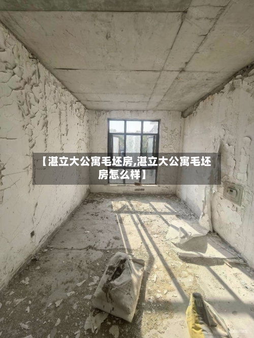 【湛立大公寓毛坯房,湛立大公寓毛坯房怎么样】-第2张图片