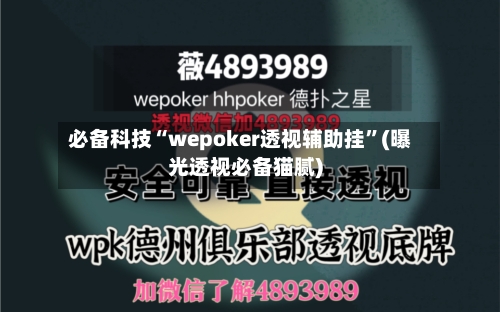 必备科技“wepoker透视辅助挂”(曝光透视必备猫腻)-第2张图片