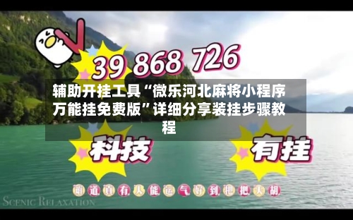 辅助开挂工具“微乐河北麻将小程序万能挂免费版”详细分享装挂步骤教程-第2张图片