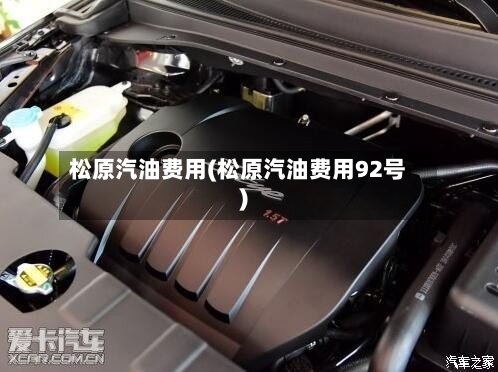 松原汽油费用(松原汽油费用92号)-第1张图片