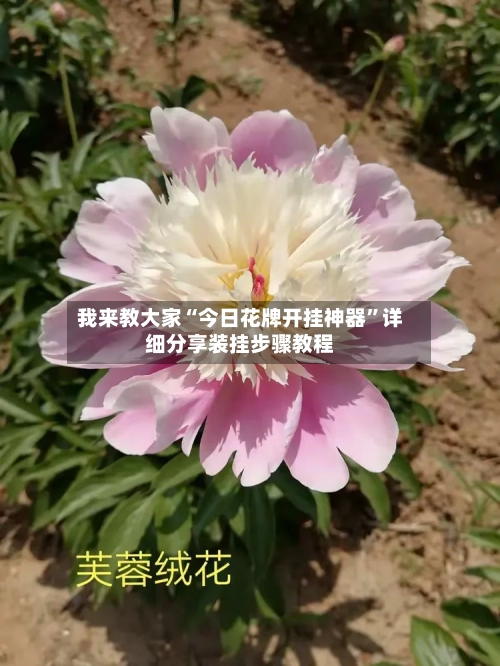 我来教大家“今日花牌开挂神器”详细分享装挂步骤教程-第2张图片