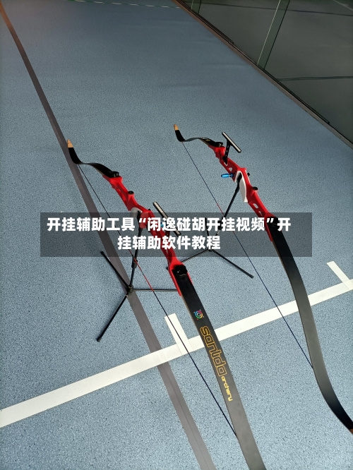 开挂辅助工具“闲逸碰胡开挂视频”开挂辅助软件教程-第3张图片