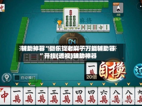辅助神器“微乐捉老麻子万能辅助器	”开挂(透视)辅助神器-第1张图片