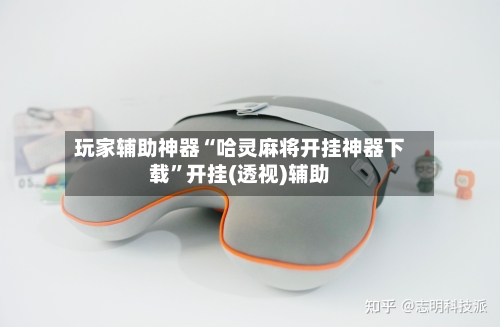 玩家辅助神器“哈灵麻将开挂神器下载	”开挂(透视)辅助-第2张图片