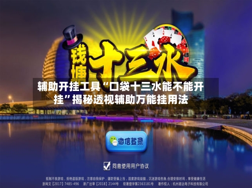 辅助开挂工具“口袋十三水能不能开挂”揭秘透视辅助万能挂用法-第2张图片