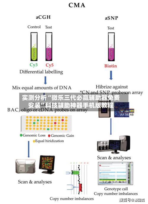 实测分析“微乐三代必赢辅助器免费安装	”科技辅助神器手机版教程-第2张图片