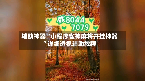 辅助神器“小程序雀神麻将开挂神器”详细透视辅助教程-第2张图片