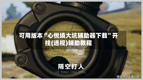 可用版本“心悦填大坑辅助器下载”开挂(透视)辅助教程-第2张图片