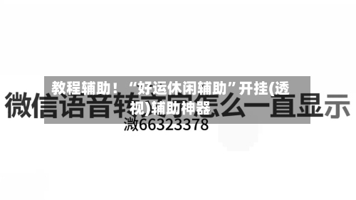 教程辅助！“好运休闲辅助”开挂(透视)辅助神器-第3张图片