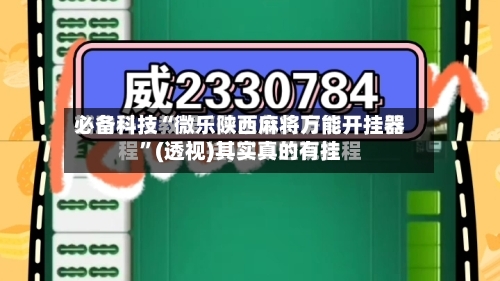 必备科技“微乐陕西麻将万能开挂器”(透视)其实真的有挂-第3张图片