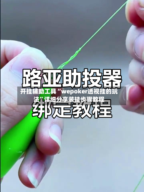 开挂辅助工具“wepoker透视挂的玩法”详细分享装挂步骤教程-第1张图片