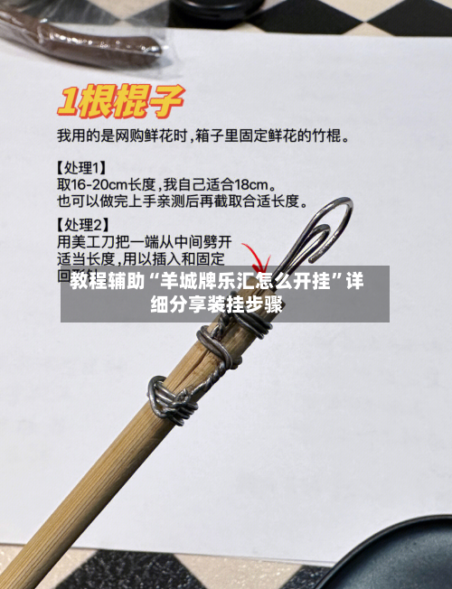 教程辅助“羊城牌乐汇怎么开挂	”详细分享装挂步骤-第1张图片