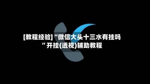 [教程经验]“微信大头十三水有挂吗”开挂(透视)辅助教程-第1张图片