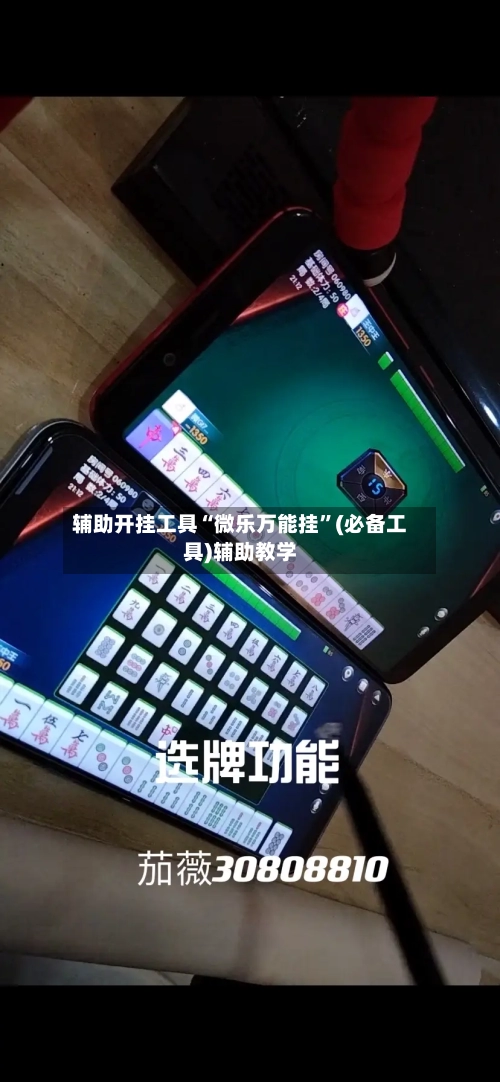 辅助开挂工具“微乐万能挂”(必备工具)辅助教学-第2张图片