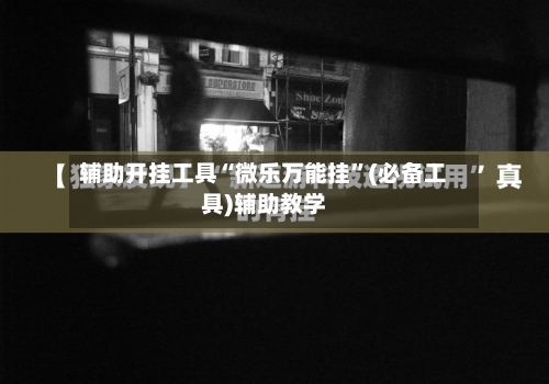 辅助开挂工具“微乐万能挂	”(必备工具)辅助教学-第3张图片