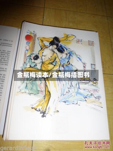金瓶梅读本/金瓶梅插图书-第2张图片