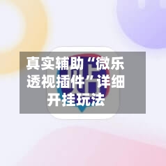 真实辅助“微乐透视插件”详细开挂玩法-第1张图片