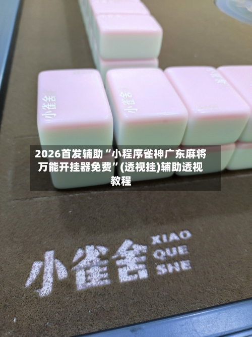 2026首发辅助“小程序雀神广东麻将万能开挂器免费”(透视挂)辅助透视教程-第2张图片