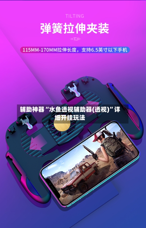 辅助神器“水鱼透视辅助器(透视)”详细开挂玩法-第1张图片