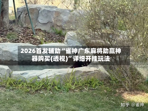 2026首发辅助“雀神广东麻将助赢神器购买(透视)”详细开挂玩法-第1张图片