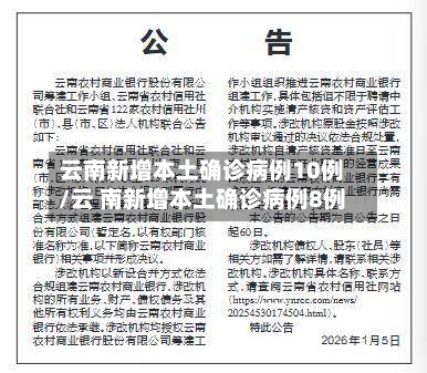云南新增本土确诊病例10例/云 南新增本土确诊病例8例-第2张图片