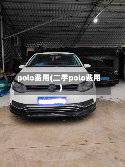 polo费用(二手polo费用)-第2张图片