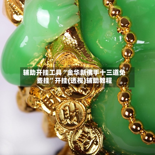 辅助开挂工具“金华新佛手十三道免费挂”开挂(透视)辅助教程-第1张图片