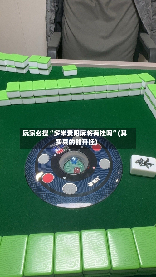 玩家必搜“多米贵阳麻将有挂吗”(其实真的能开挂)-第1张图片