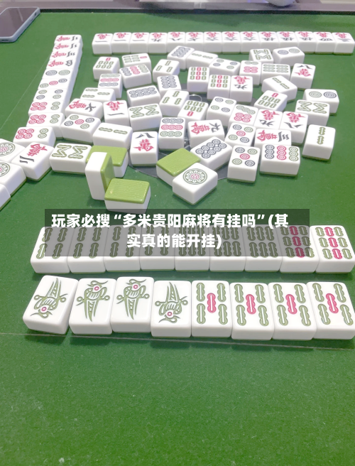 玩家必搜“多米贵阳麻将有挂吗	”(其实真的能开挂)-第2张图片