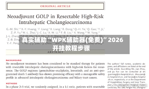 真实辅助“WPK辅助器(免费)”2026开挂教程步骤-第1张图片