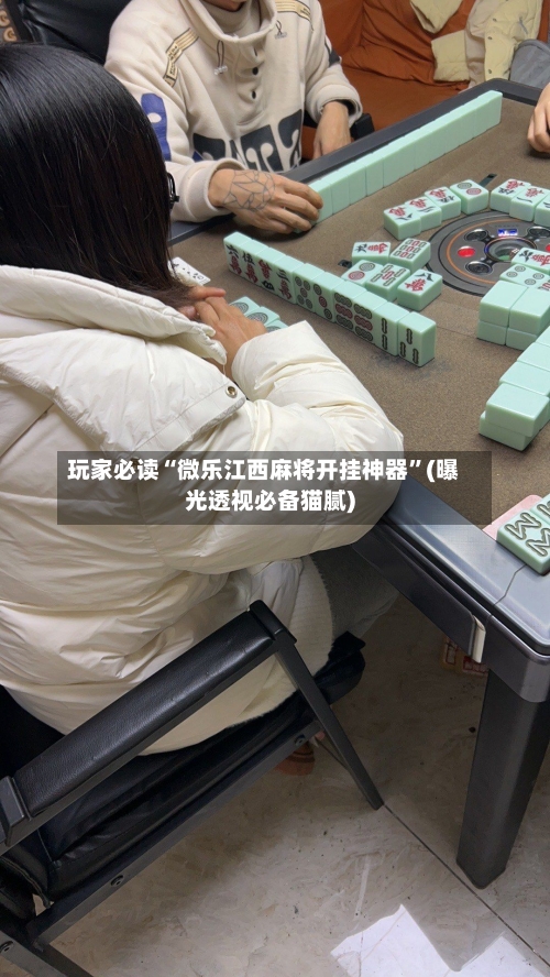 玩家必读“微乐江西麻将开挂神器”(曝光透视必备猫腻)-第2张图片