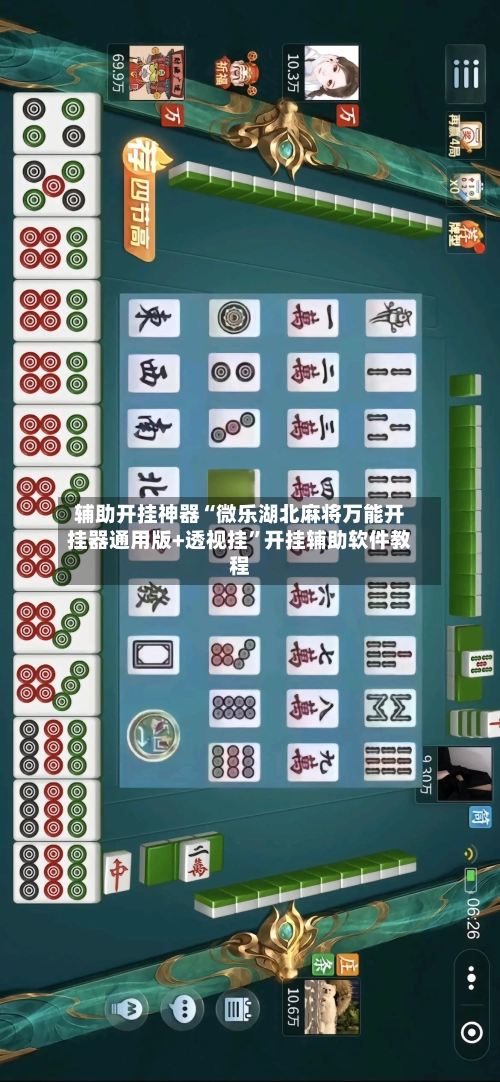 辅助开挂神器“微乐湖北麻将万能开挂器通用版+透视挂”开挂辅助软件教程-第2张图片