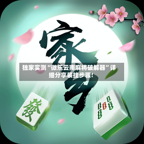 独家实测“微乐云南麻将破解器”详细分享装挂步骤!-第2张图片