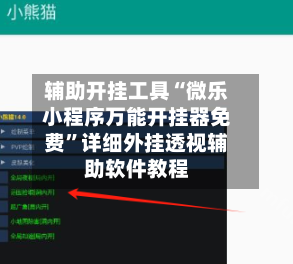 辅助开挂工具“微乐小程序万能开挂器免费”详细外挂透视辅助软件教程-第3张图片