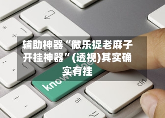 辅助神器“微乐捉老麻子开挂神器”(透视)其实确实有挂-第2张图片