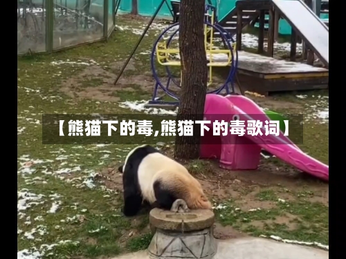 【熊猫下的毒,熊猫下的毒歌词】-第2张图片